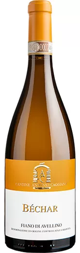 Bild antonio_caggiono_bechar_fiano_di_avellino_irpinia_campania.jpg